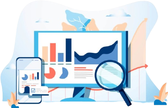 Website Audit